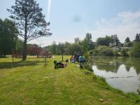 activités au camping
